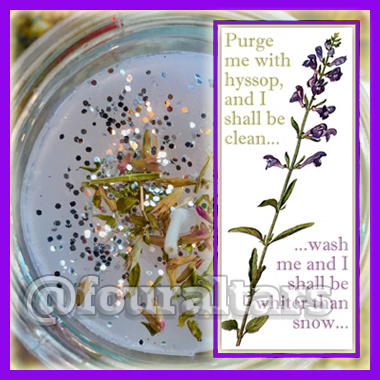 purge-me-with-hyssop.jpg