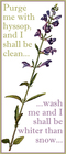 purge-me-with-hyssop.jpg