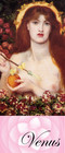 venus.jpg
